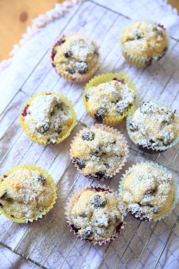Taze yapılmış blueberry muffins
