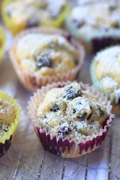 Blueberry muffins verticale — Stockfoto