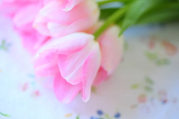 Pink spring tulips on floral print — Stock Photo, Image