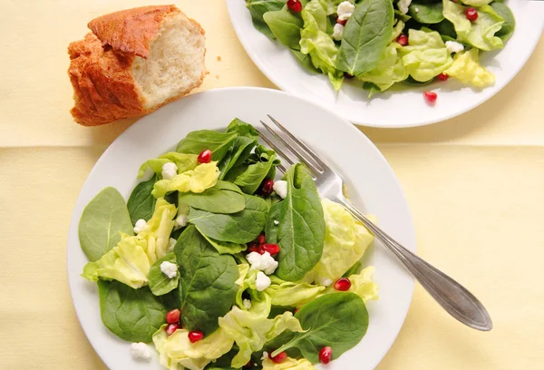 Ensalada con semillas de granada —  Fotos de Stock