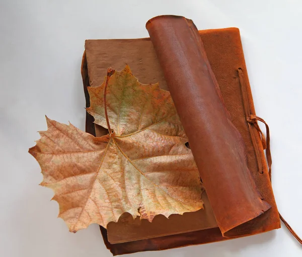 Dead leaf in an old book — Stock Photo, Image