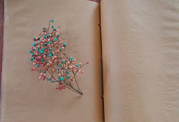 Pastel berries on old book pages — Stock Photo, Image