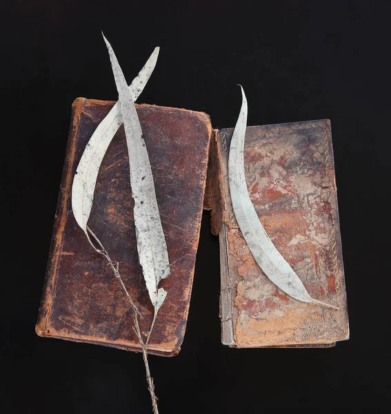 Dead Leaves Two Vintage Books Dark Background — Stock Photo, Image