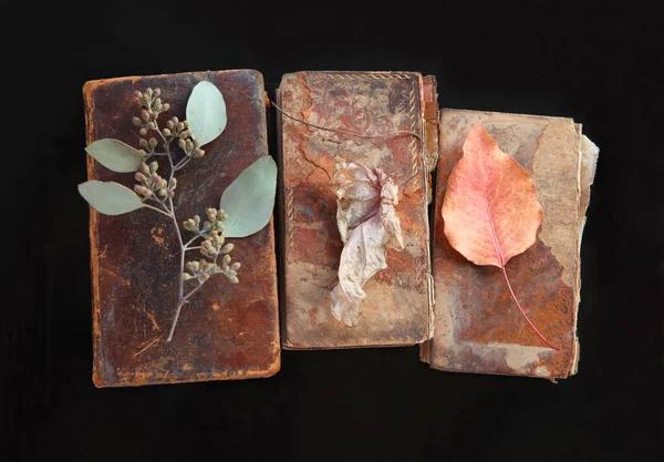 Old Damaged Old Books Eucalyptus Autumn Leaves — Stock Photo, Image