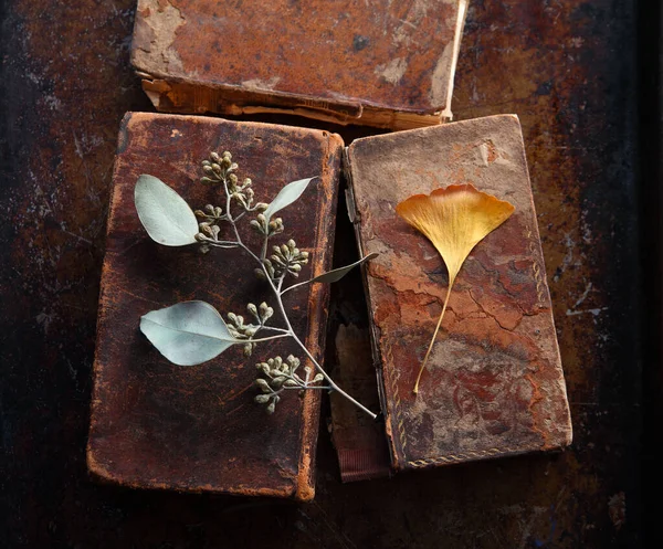 Eucalyptusblad Med Frökapslar Och Höstens Ginkgoblad Ovanpå Skadade Vintageböcker Metallyta — Stockfoto