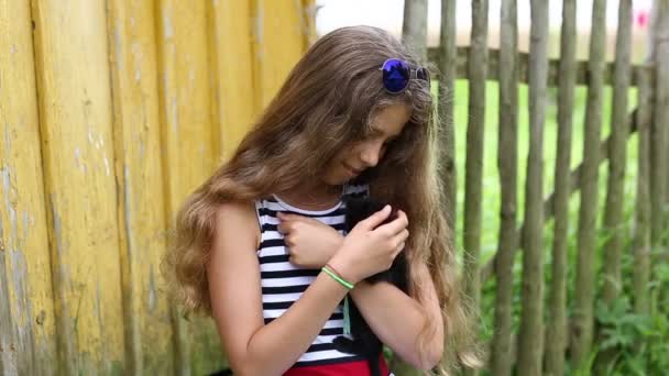 Küçük yavru kedi kız tutar — Stok video