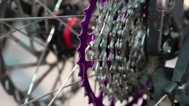 電気の自転車の車輪 — ストック動画