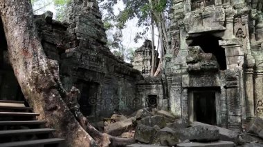 Angkor thom tapınak kompleksi  
