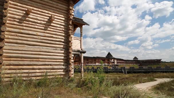 Château dans le parc Kyivan Rus — Video