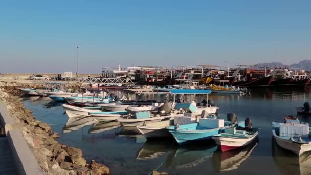Лодки в гавани Дибба-эль-Байя — стоковое видео