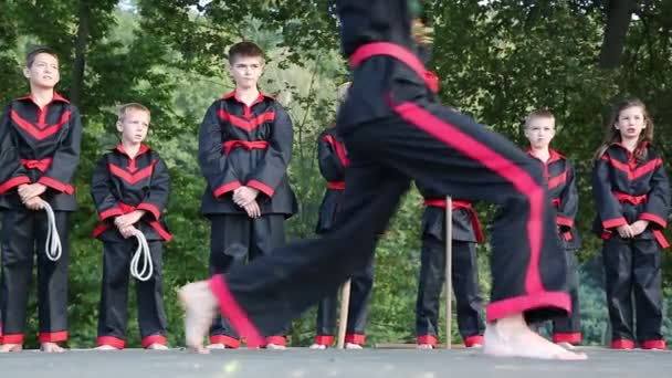 Demostraciones de artes marciales — Vídeo de stock