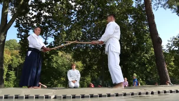 Demonstraties van martial arts — Stockvideo