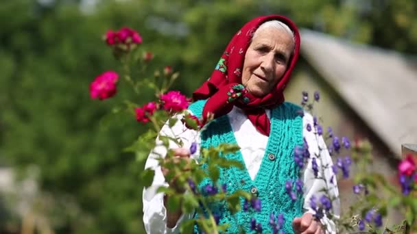 Стара жінка стоїть у квітах — стокове відео