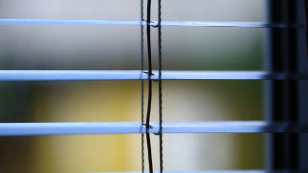 White plastic jalousie — Stock Footage White plastic jalousie Stock Video