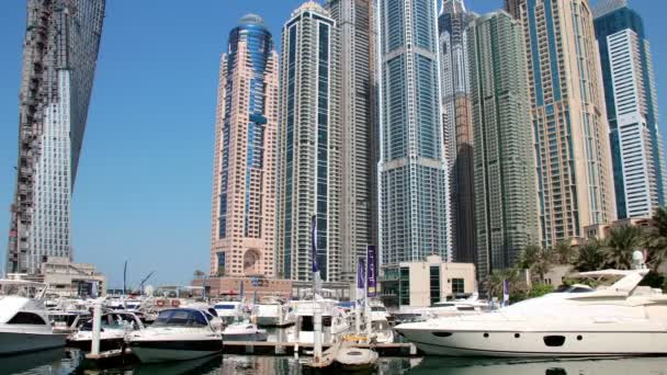 4 k Dubai Yat Limanı — Stok video