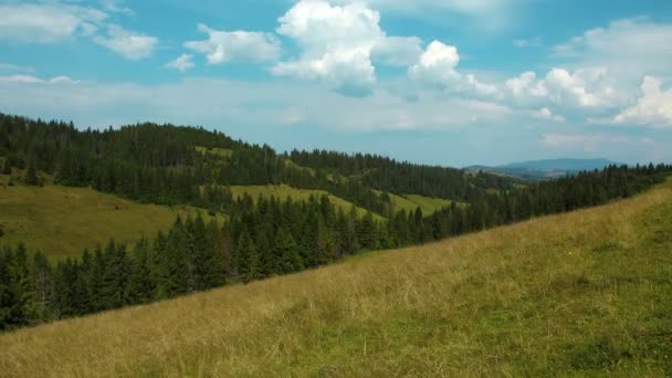 4K Timelapse de nuages et de belles montagnes verdoyantes avec des conifères — Video