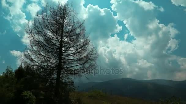 4k Timelapse a felhők és a hegyek halott fa — Stock videók