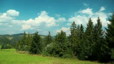 4k Timelapse bulutlar ve güzel yeşil iğne yapraklı ağaçlar