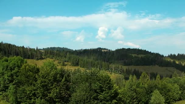 4k Zeitraffer aus Wolken und schönen grünen Bergen mit Nadelbäumen — Stockvideo