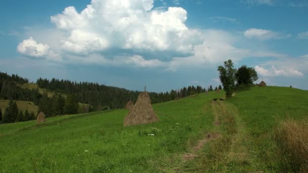 4k Timelapse chmury i piękny zielony łąka — Wideo stockowe