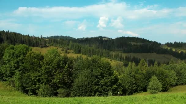 4K Timelapse de nuvens e belas montanhas verdes com árvores coníferas — Vídeo de Stock