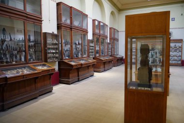 CAIRO, EGYPT, DECEMBER 11, 2019: Ancient Egyptian exhibits in museum of Egyptian antiquities in Cairo, known commonly as the Egyptian museum or museum of Cairo