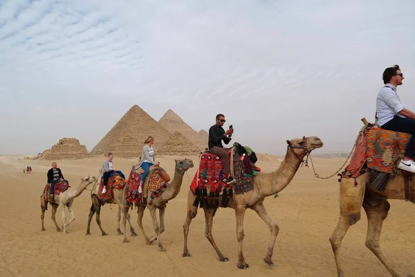 Egypt Giza Cairo December 2019 People Camels Great Pyramids Giza — Stock Photo, Image