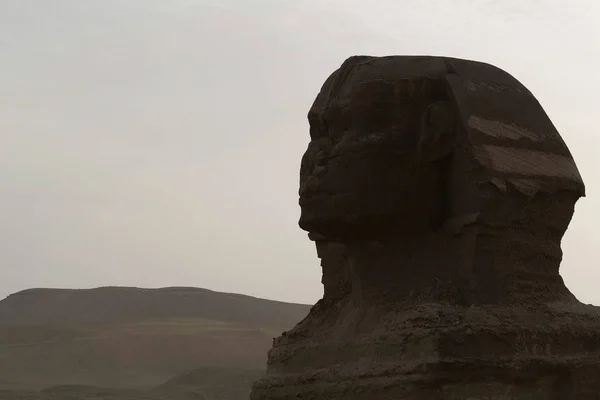 Great Sphinx Het Plateau Van Gizeh Cairo Egypte — Stockfoto