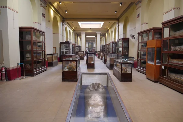 Egitto Cairo Dicembre 2019 Antiche Mummie Nel Museo Antichità Egizie — Foto Stock