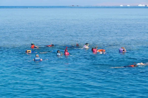 Egypt Sinai Red Sea Sharm Sheikh Декабря 2019 Люди Ныряют — стоковое фото