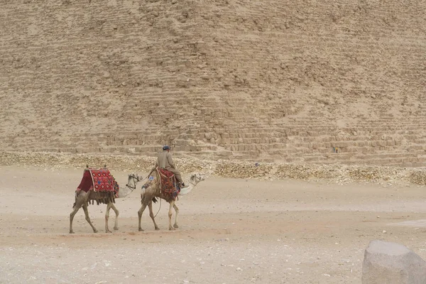 Egipto Giza Cairo Diciembre 2019 Hombre Camello Cerca Gran Pirámide — Foto de Stock