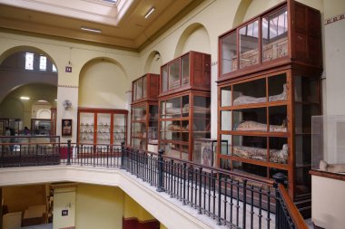 CAIRO, EGYPT, DECEMBER 11, 2019: Ancient mummies in sarcophagus in museum of Egyptian antiquities in Cairo, known commonly as the Egyptian museum or museum of Cairo