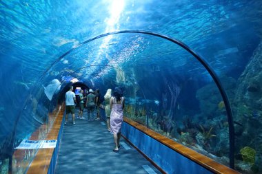 Puerto De La Cruz, Tenerife Adası, İspanya, 27 Eylül 2019: Loro Parque veya Loro Park, Tenerife Adası, Kanarya Adaları 'ndaki sualtı tünel akvaryumundaki insanlar