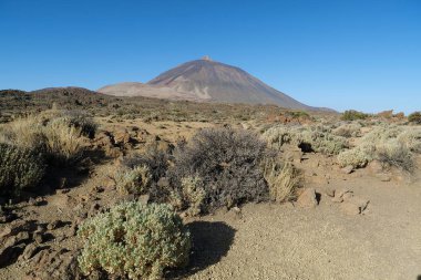 Volkan Tepesi, Teide Ulusal Parkı, Tenerife Adası, Kanarya Adaları, İspanya