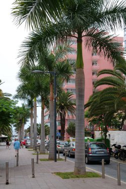 Tenerife Adası, Puerto De La Cruz, İspanya, 27 Eylül 2019: İspanya 'nın Kanarya Adaları' ndaki Tenerife Adası 'ndaki Puerto de la Cruz şehrinde sokaklardaki insanlar ve arabalar