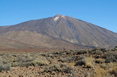 Volkan Tepesi, Teide Ulusal Parkı, Tenerife Adası, Kanarya Adaları, İspanya