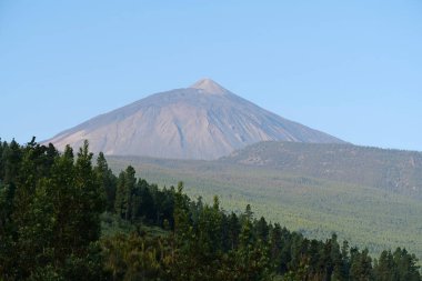 Volkan Tepesi, Teide Ulusal Parkı, Tenerife Adası, Kanarya Adaları, İspanya