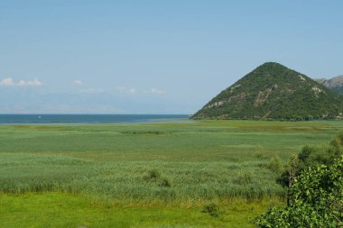 Güney Avrupa 'nın en büyük gölü olan Şkodra Gölü, aynı zamanda Scutari Gölü veya Şkodra Gölü olarak da bilinen Virpazar kenti yakınlarındaki Skadar Gölü, Arnavutluk ve Karadağ sınırında yer alıyor.