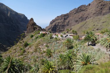 Masca dağ köyü ve vadi, Tenerife adası, Kanarya adaları, İspanya. 1496 'da İspanyol istilasından önce antik Guanche yerleşkesi.