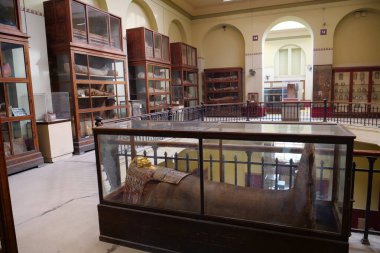 Kahire, Mısır, 11 Aralık 2019: Kahire 'deki Mısır antik müzesindeki mumyalar, Mısır müzesi veya Kahire müzesi olarak bilinir.