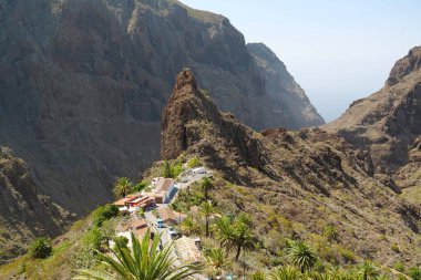 Masca dağ köyü ve vadi, Tenerife adası, Kanarya adaları, İspanya. 1496 'da İspanyol istilasından önce antik Guanche yerleşkesi.