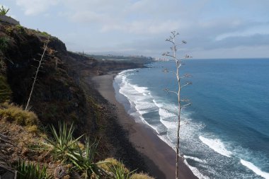 Tenerife Adası, Kanarya Adaları, İspanya 'da siyah volkanik kumlu vahşi sahil
