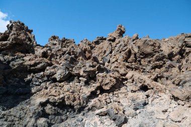 Tenerife Adası, Kanarya Adaları, İspanya 'da Volkan Tepesi' nin yamaçlarında