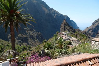 Masca dağ köyü ve vadi, Tenerife adası, Kanarya adaları, İspanya. 1496 'da İspanyol istilasından önce antik Guanche yerleşkesi.