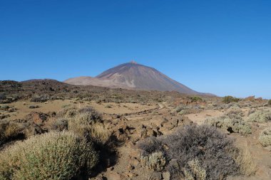 Volkan Tepesi, Teide Ulusal Parkı, Tenerife Adası, Kanarya Adaları, İspanya