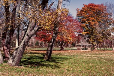 Allaire Park Howell New Jersey'de Eğer sonbahar