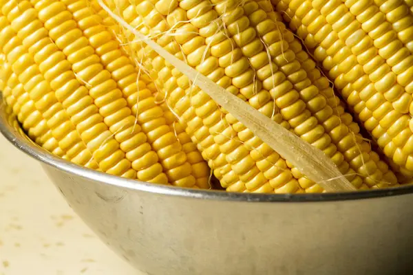 Yellow sweet corn fresh harvest — Stock Photo, Image