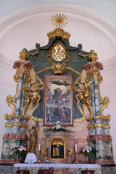 L'altare maggiore nella Chiesa dell'Assunzione della Beata Vergine Maria a Pakrac, Croazia — Foto Stock