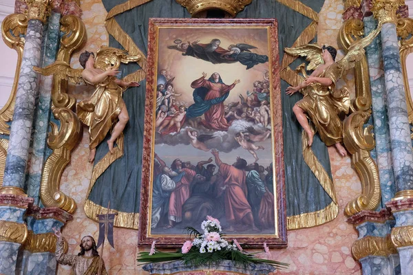 在假定的圣母玛利亚在帕拉，克罗地亚教堂主祭坛 — 图库照片