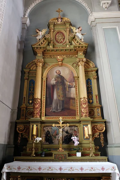 Sankt Ignatius av Loyola – stockfoto